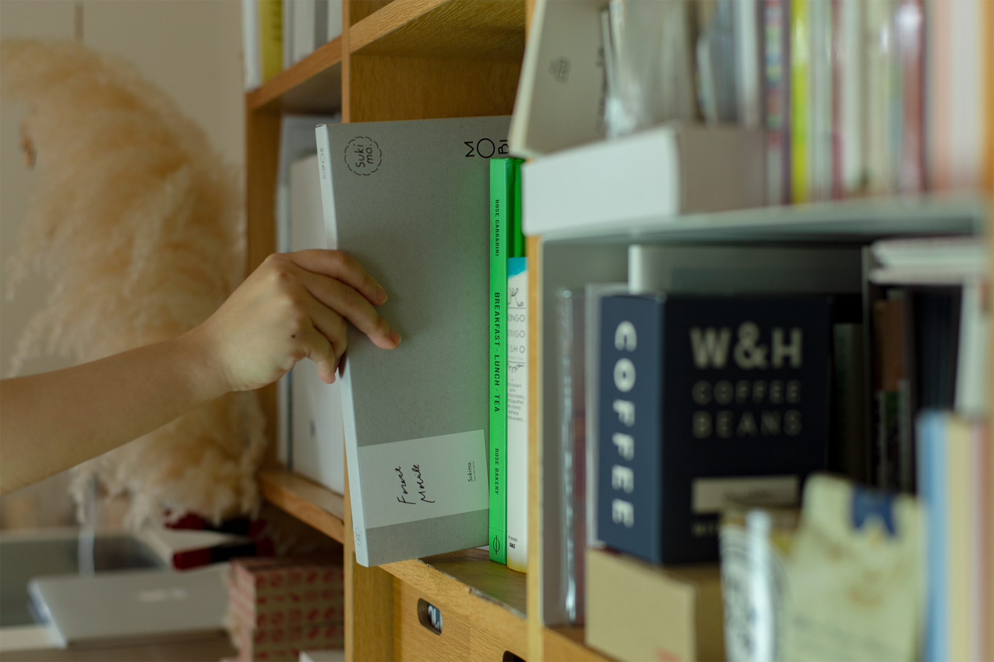 forest mobile / 森のモビール